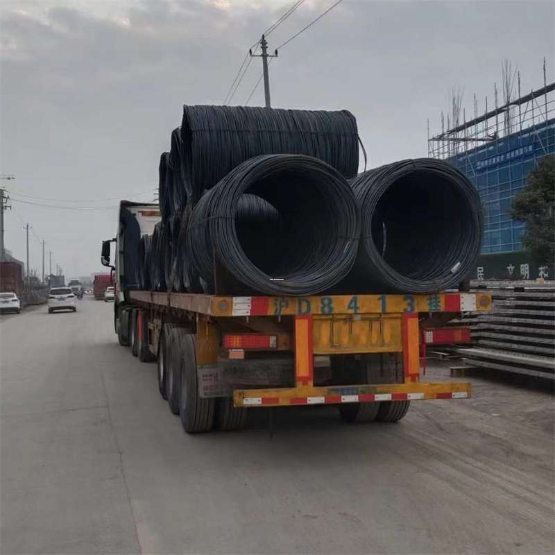 轮台县博山区物流：多元服务与高效运输线路探秘