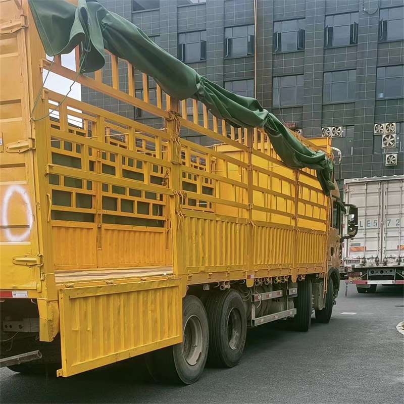 轮台县吉安市物流：多元服务与高效运输线路探秘