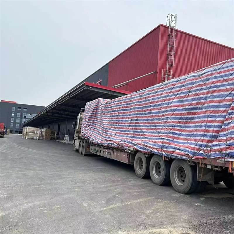 轮台县海陵区物流：多元服务与高效运输线路探秘