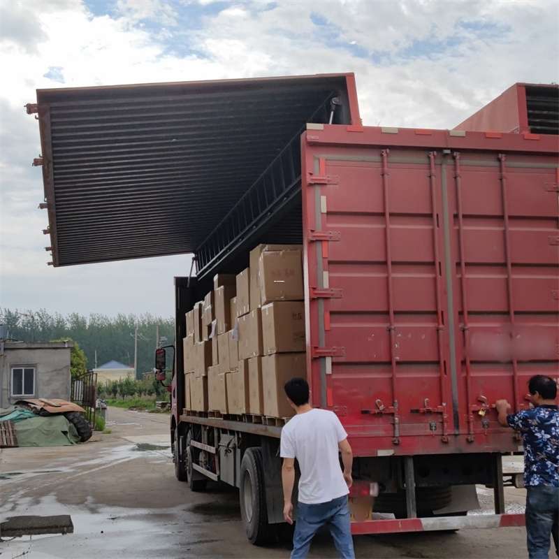 轮台县扎囊县：物流专线的高效货运之旅
