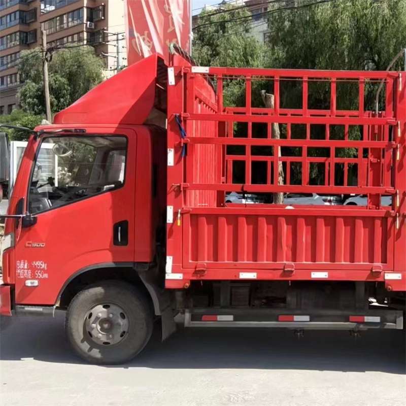 轮台县延安市物流专线：多元货运服务的精彩画卷